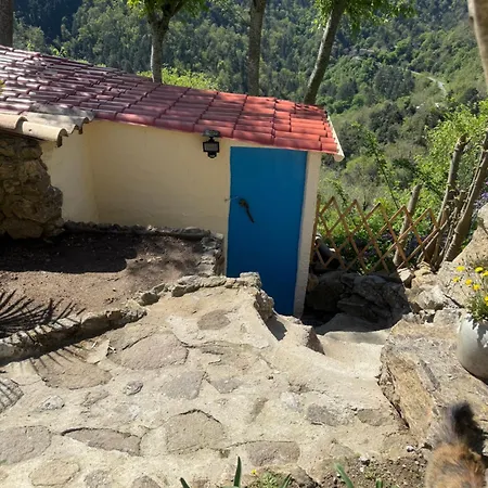 Cave Seraphie *