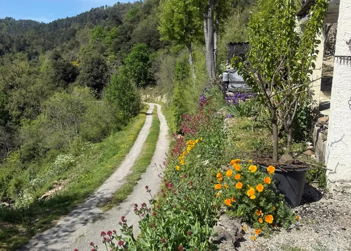 Апартаменты Cave Seraphie Saint-Michel-de-Chabrillanoux